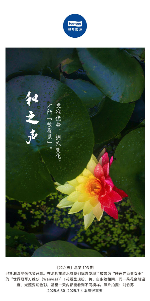 【和之声】找准优势、拥抱变化，才能“被看见”。(总第193期）--2025.6中文导出季度推送用.jpg